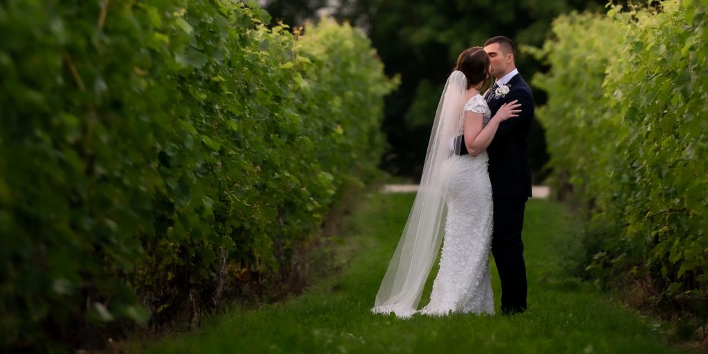 vineyard wedding photo at Georgian Hills