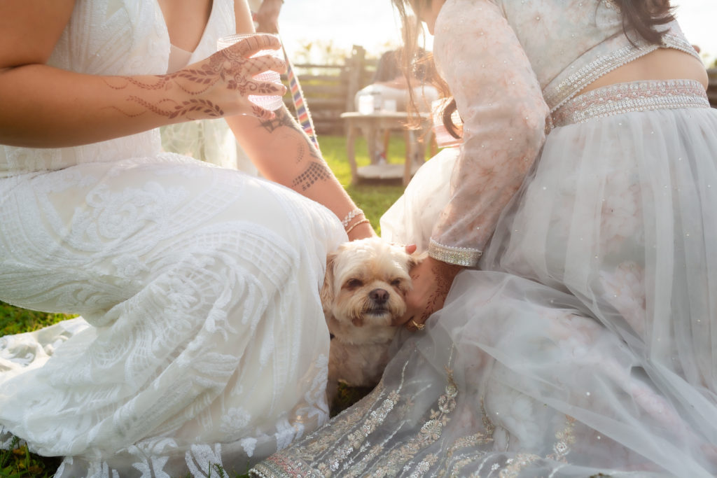 photos with dogs at weddings