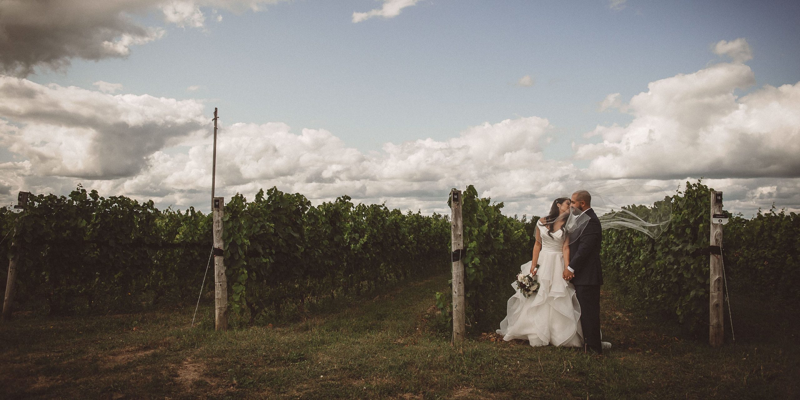 bride groom in vineyard portraits